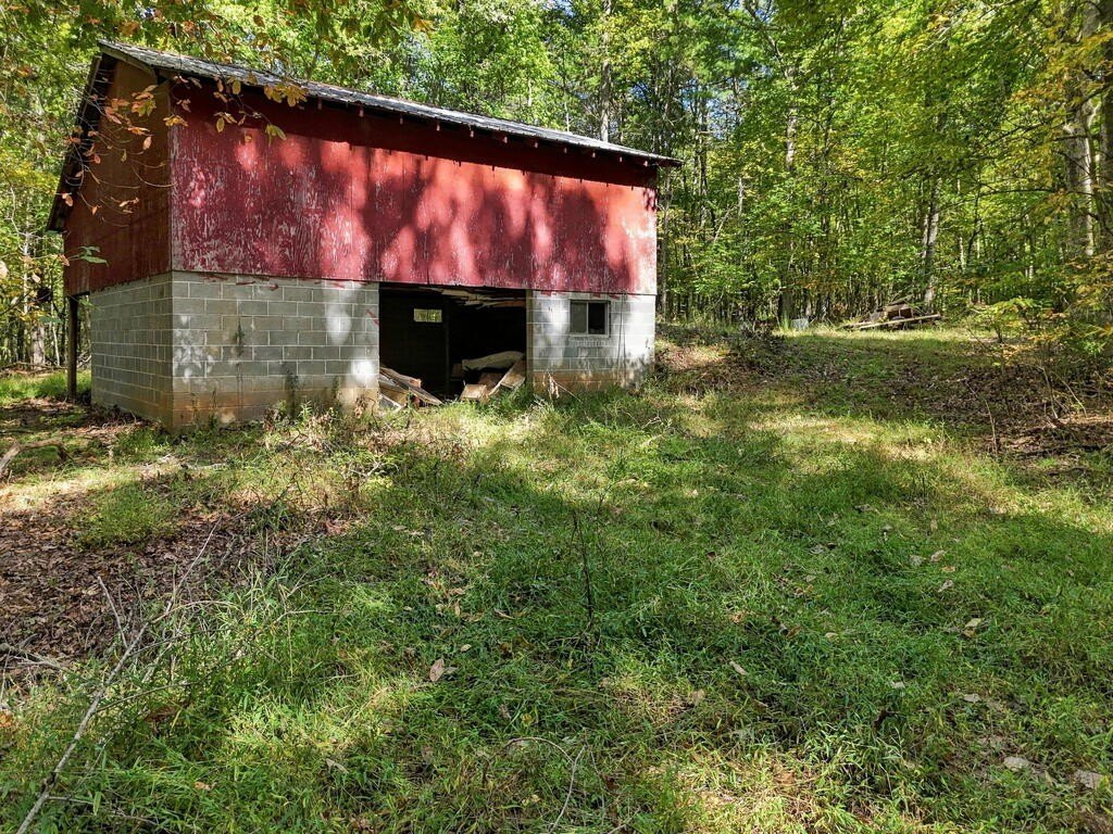 Picture 18
