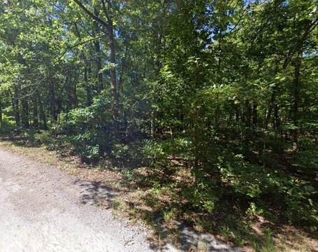 LAND - Cherokee Village, AR