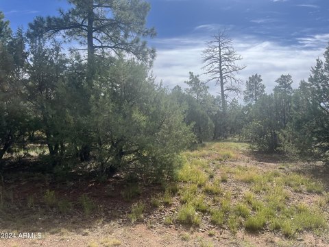 Lakeside, AZ Wooded Lot