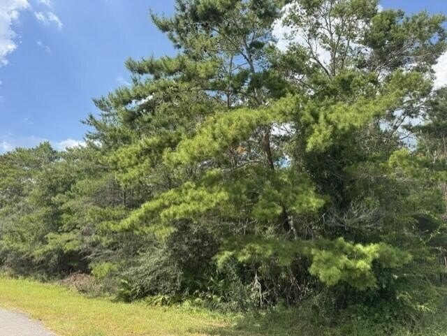 Picture 17