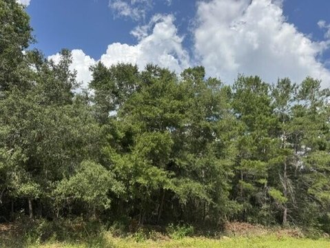 Land, Navarre, FL