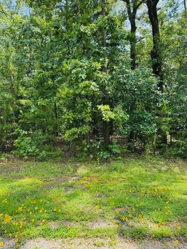 LAND - Heber Springs, AR