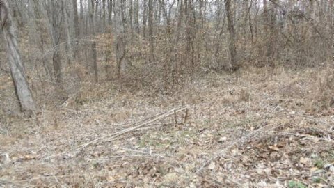 Wooded Land with Mountain Views