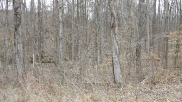 Picture 38