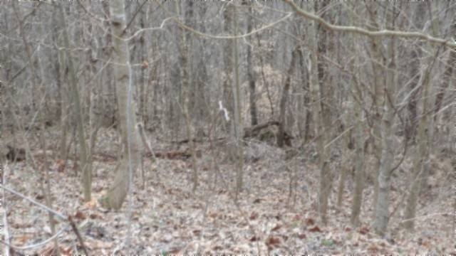 Picture 13