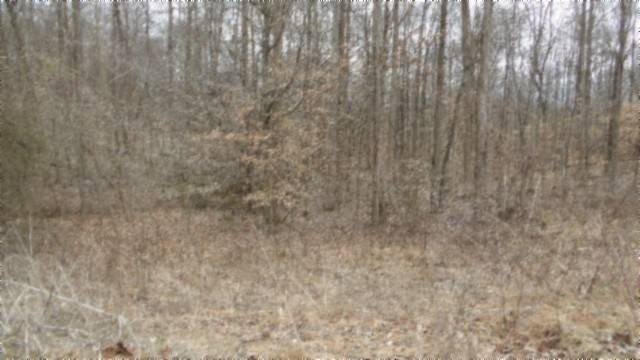 Picture 23
