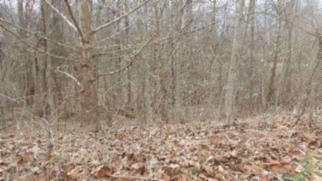 Picture 14