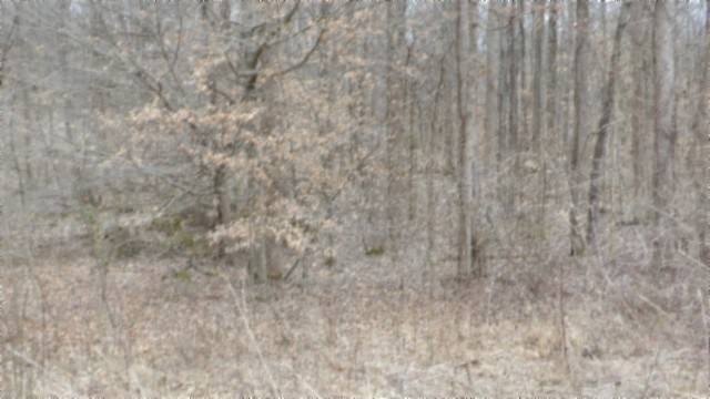 Picture 24