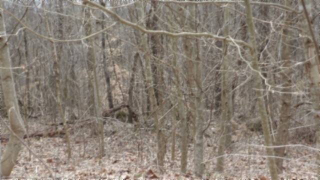 Picture 11