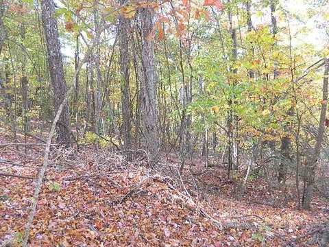 Wooded Land in Chilhowie, VA