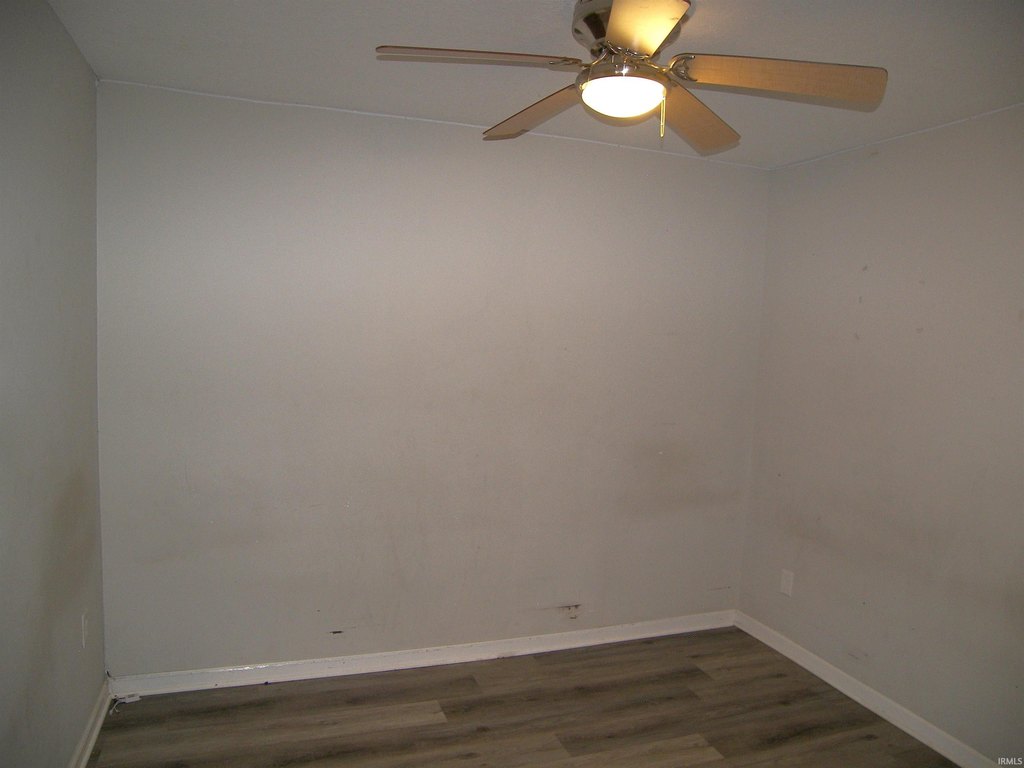 Picture 24