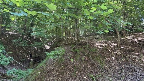 LAND - Ellijay, GA