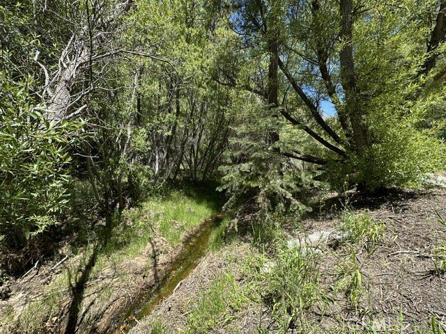 Picture 8