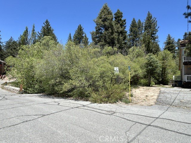 Picture 11