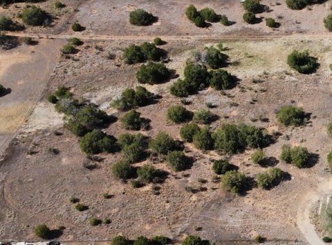 LAND - Edgewood, NM