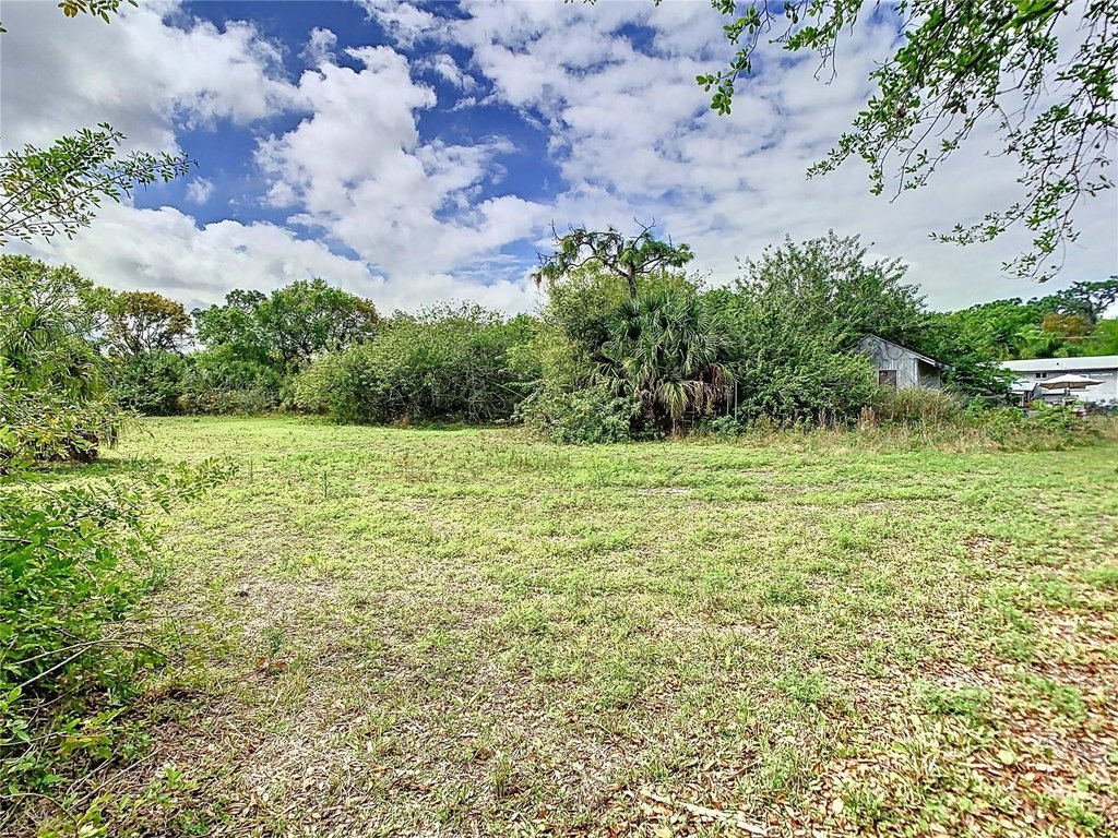 Picture 7