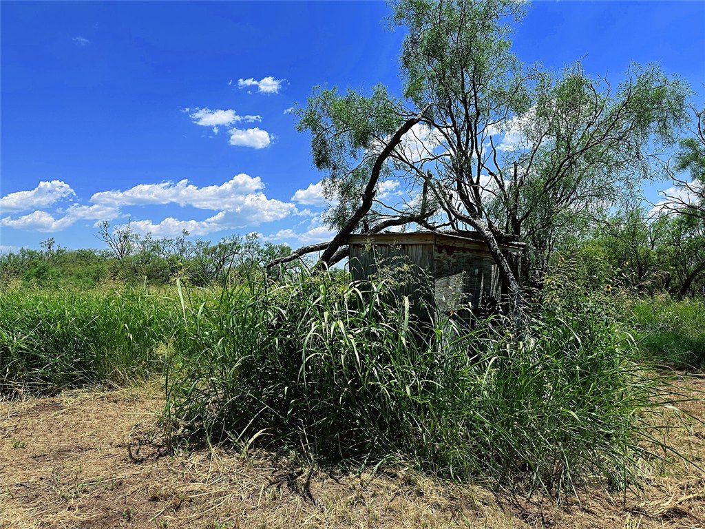 Picture 8