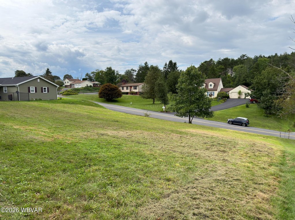 Picture 4