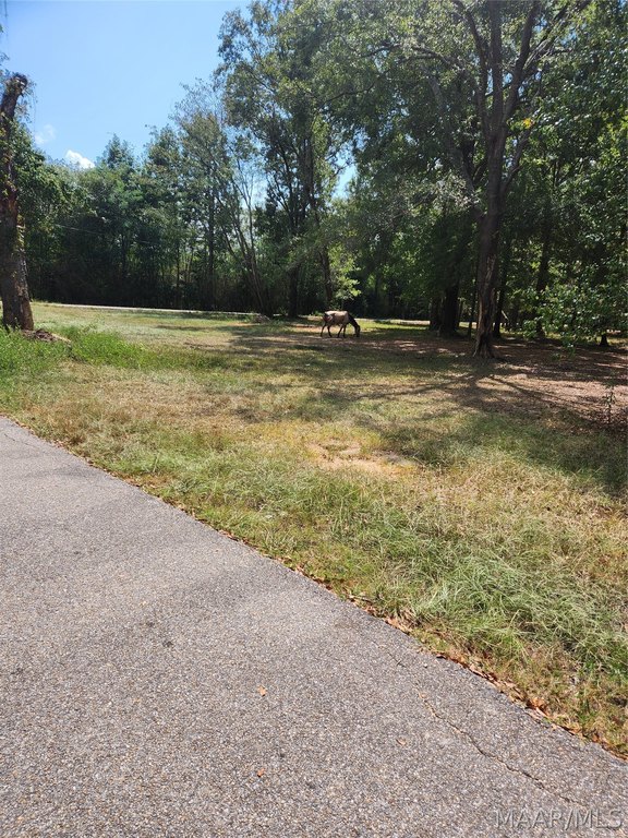 Picture 3