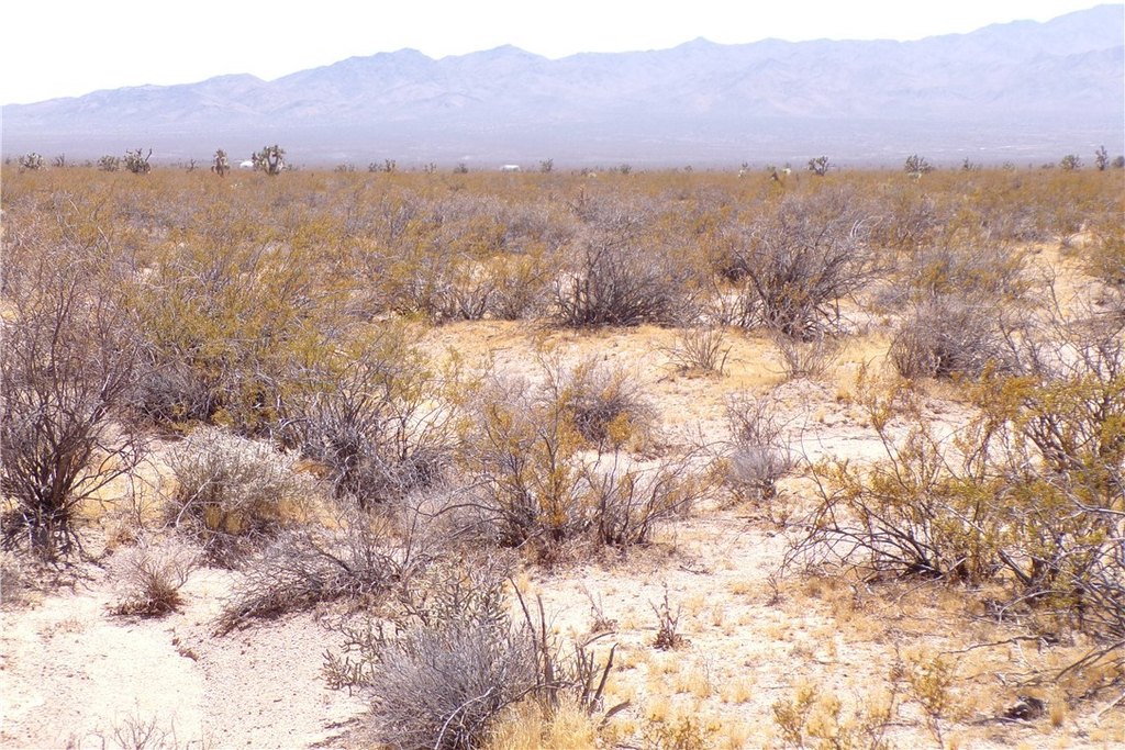 Picture 17