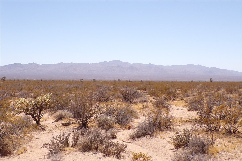 Picture 24