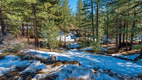 Portola Lot with Creek