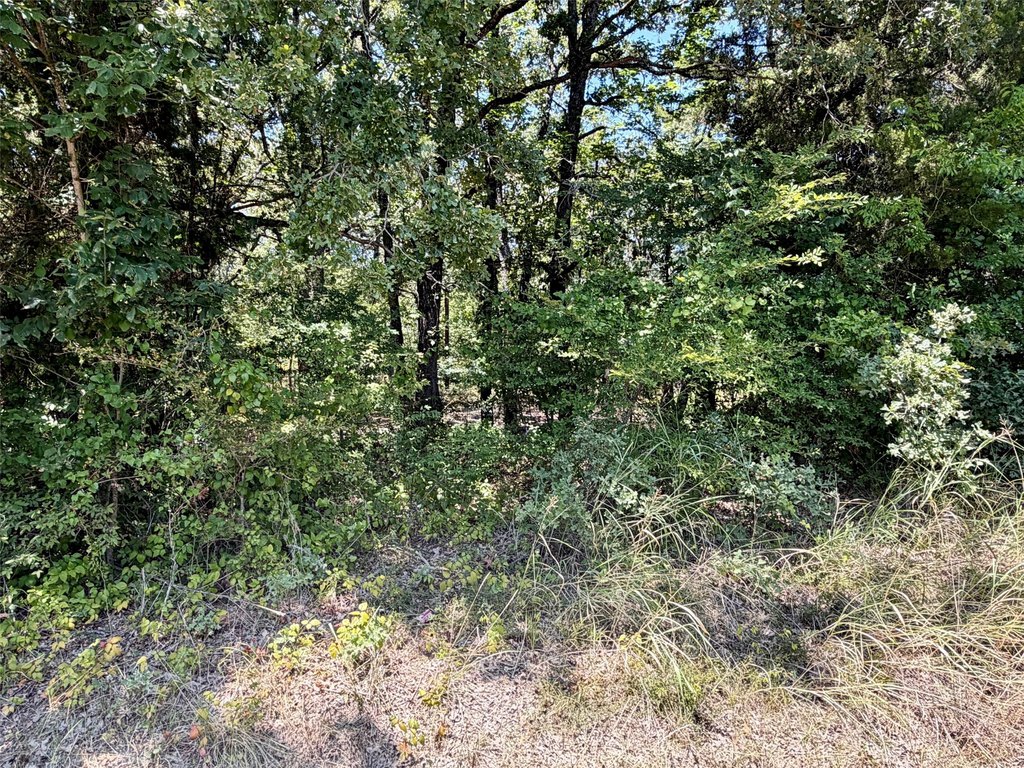Picture 3