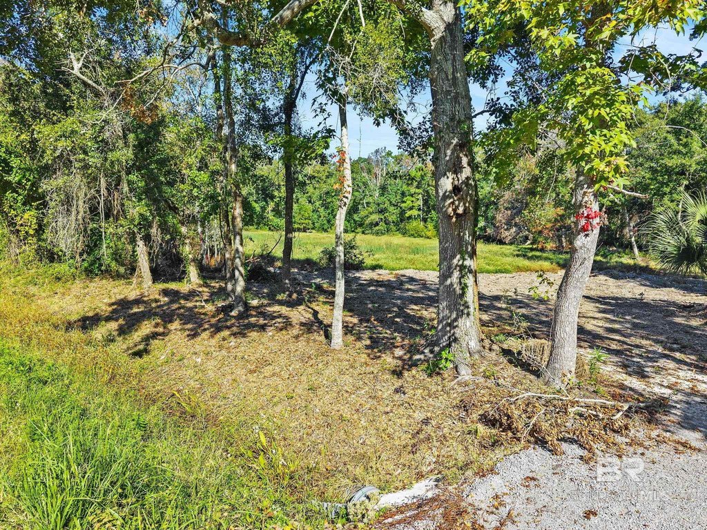 Picture 21