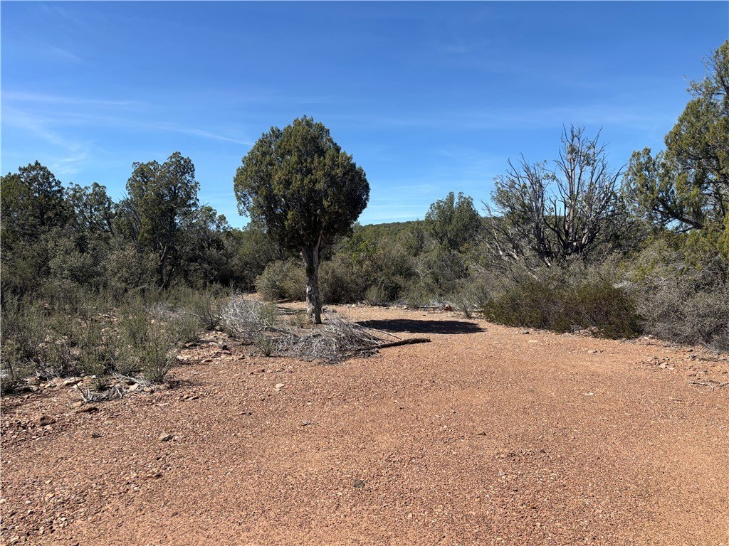 Kingman Land with Abundant Trees