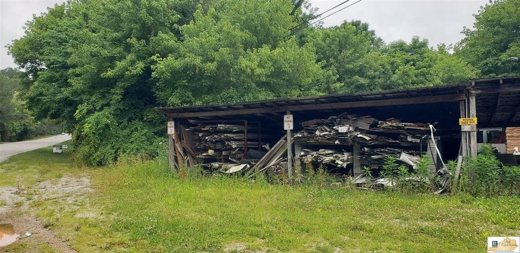 Picture 5