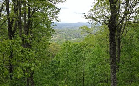 Mountain View Lot in Blairsville