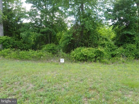 Wooded Lot in Georgetown, DE