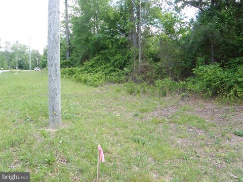 Wooded Lot in Georgetown, DE