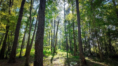 48 Acres Near Downtown Cairo