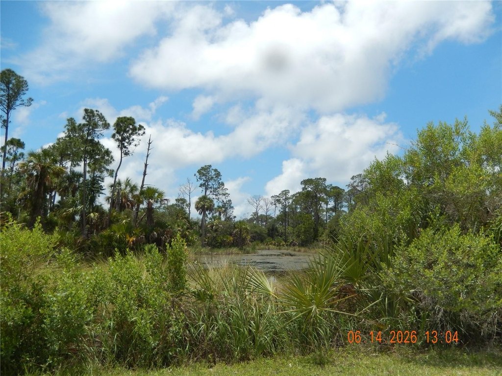 Picture 8