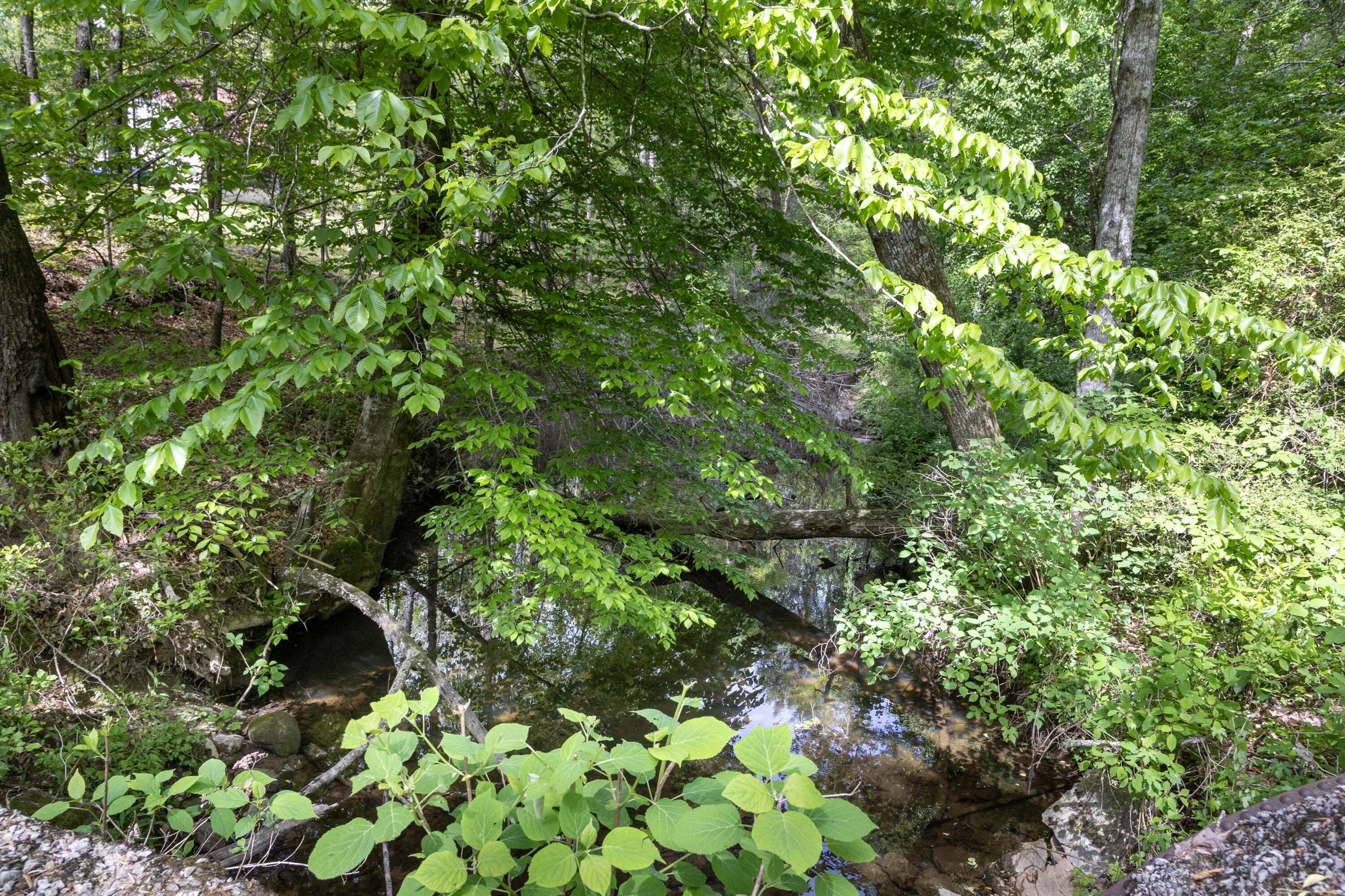 Unrestricted Wooded Land Near Dayton