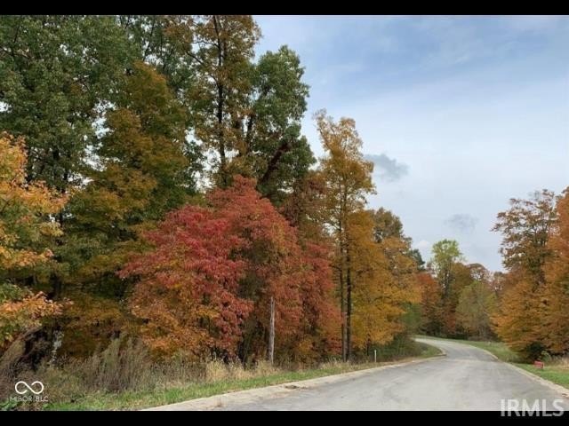 Picture 11