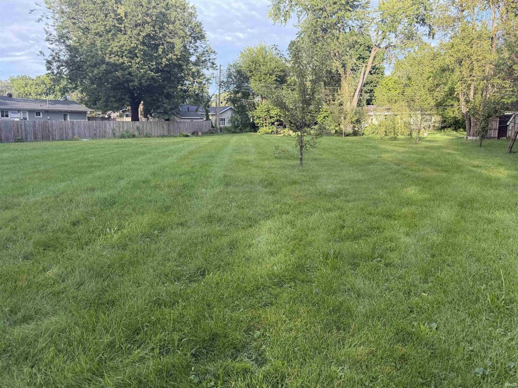 Picture 5