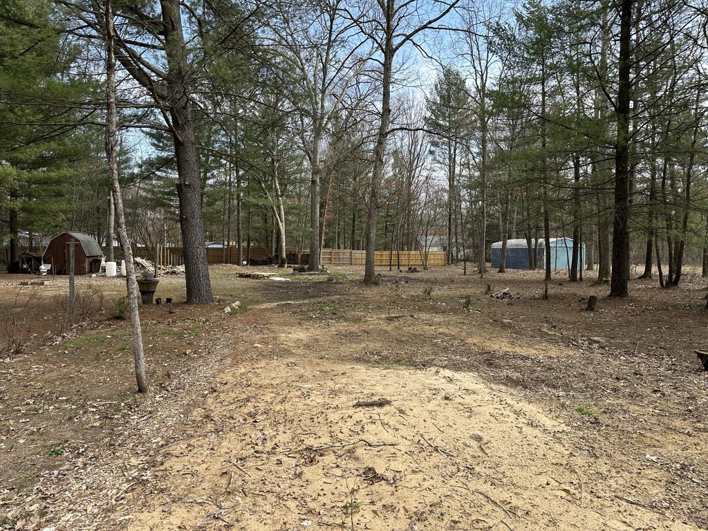 Picture 4