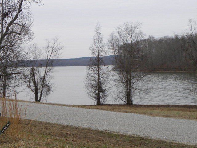 Picture 12