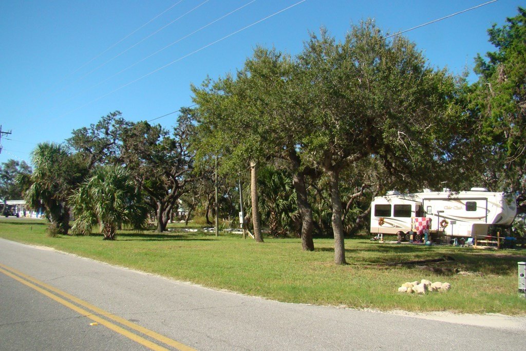 Picture 7