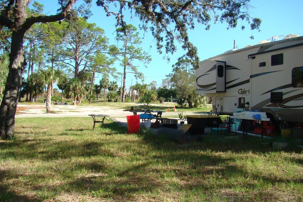 Picture 12
