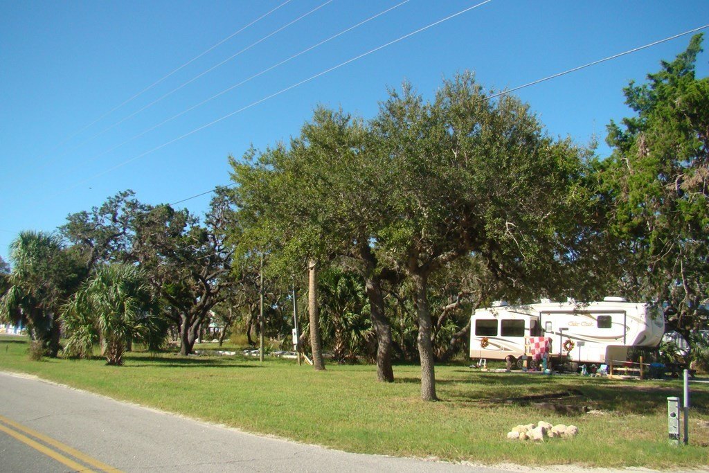 Picture 8