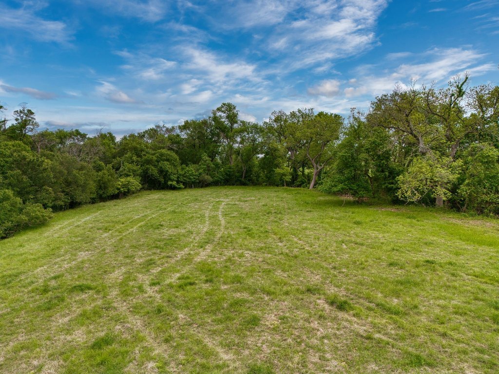 Picture 18
