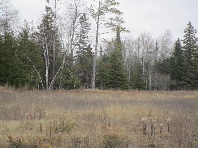 Picture 13