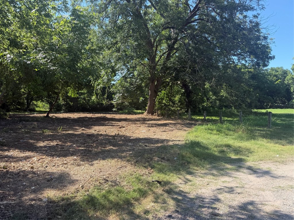 Picture 5