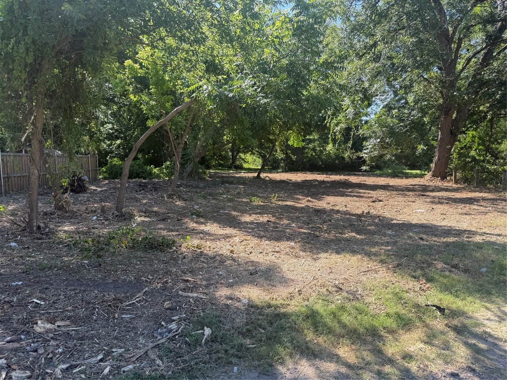 Picture 6
