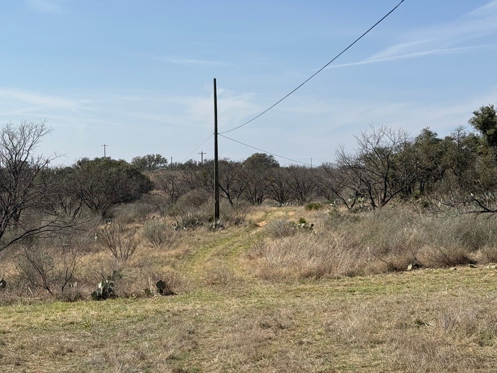 Picture 15