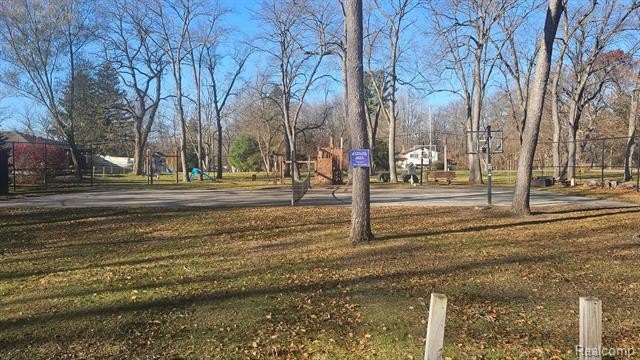 Picture 10