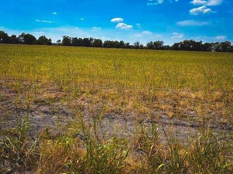 Land, Thorndale, TX